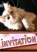 Invitation festive avec un chat espi&egrave;gle